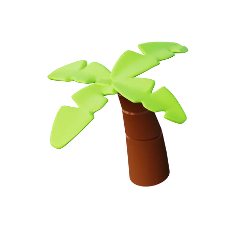 Coconut Tree  3D Illustration