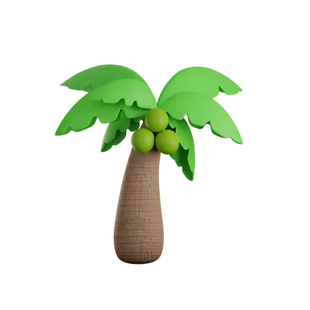 3d coconut tree png
