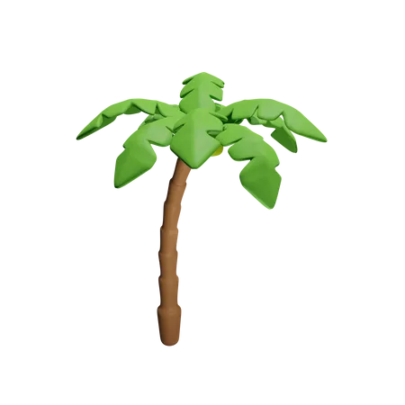 Coconut Palm Download This Item Now 3D Icon