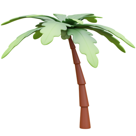 692 Coconut Tree 3D Illustrations - Free in PNG, BLEND, glTF - IconScout