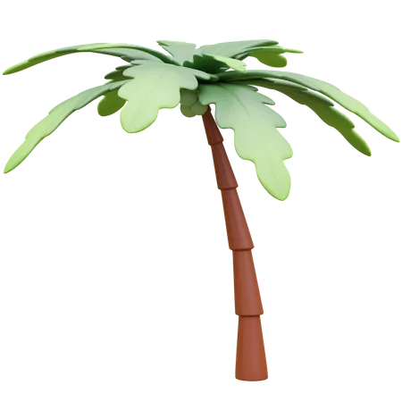 Coconut Tree 3 D Icon Illustration 3D Icon
