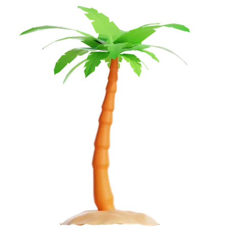 3 D Cute Tropical Palm Coconut Tree On Transparent Background Summertime Object 3D Icon