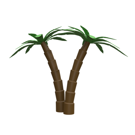Coconut Trees  3D Icon