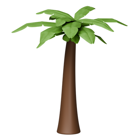 Árbol de coco  3D Icon