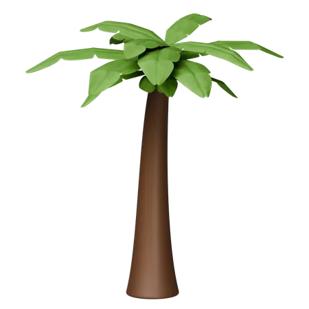 Árbol de coco  3D Icon