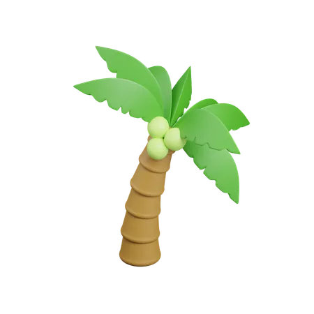 Árbol de coco  3D Icon