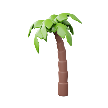 Árbol de coco  3D Icon