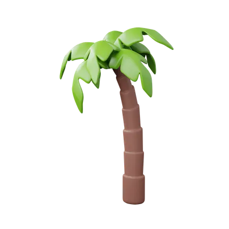 Árbol de coco  3D Icon