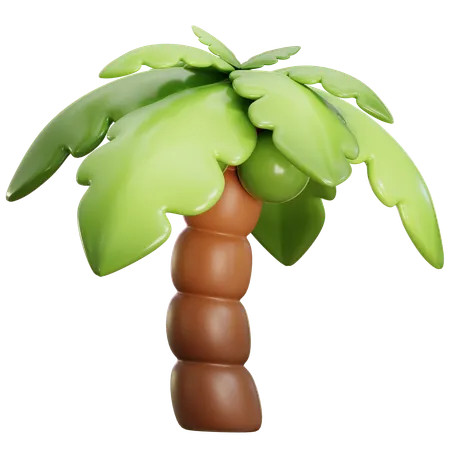 Árbol de coco  3D Icon