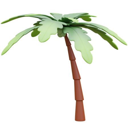 Árbol de coco  3D Icon