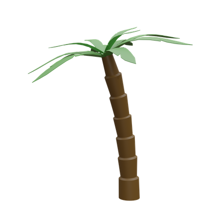 Árbol de coco  3D Icon