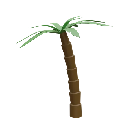 Árbol de coco  3D Icon