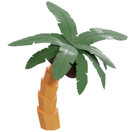 Árbol de coco  3D Icon