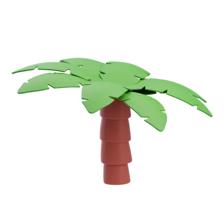 Árbol de coco  3D Icon