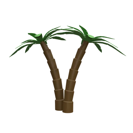 Cocotiers  3D Icon