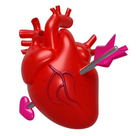 Coeur avec flèche  3D Icon