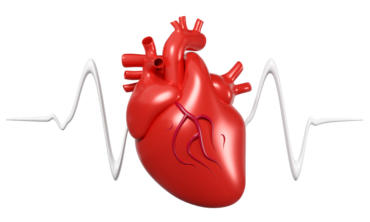 Coeur avec fréquence cardiaque  3D Icon