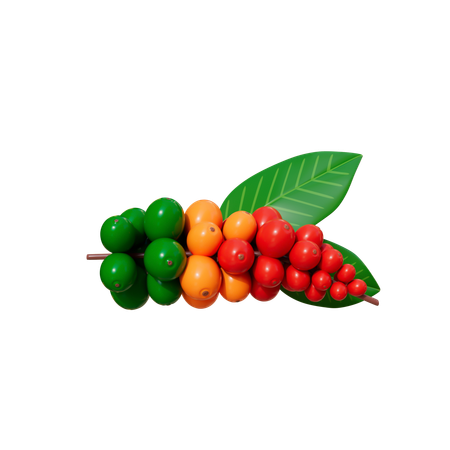 Coffee Beans Plant  3D Icon