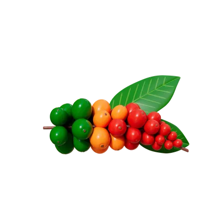 Coffee Beans Plant  3D Icon