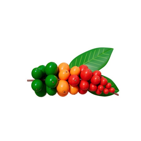 Coffee Beans Plant  3D Icon