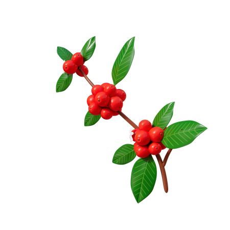 Coffee Branch  3D Icon