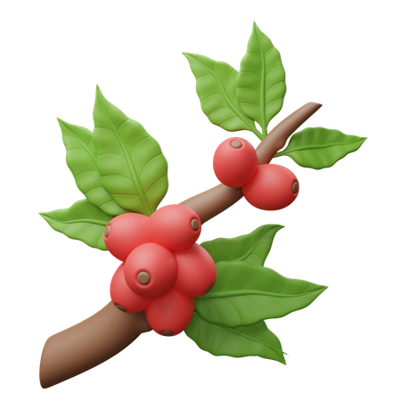 Coffee Tree  3D Icon
