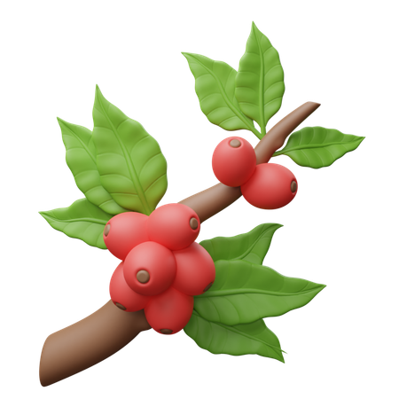 Coffee Tree  3D Icon