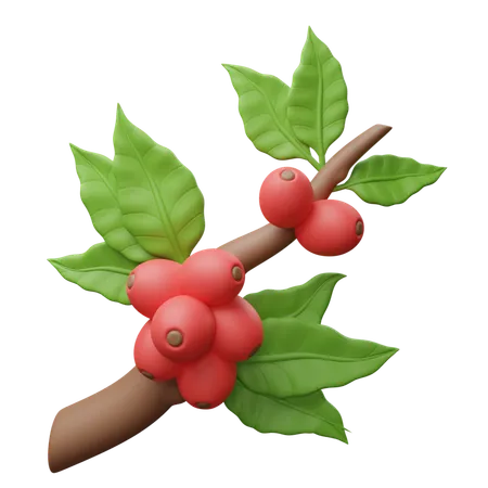 Coffee Tree  3D Icon