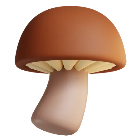 Cogumelo  3D Icon