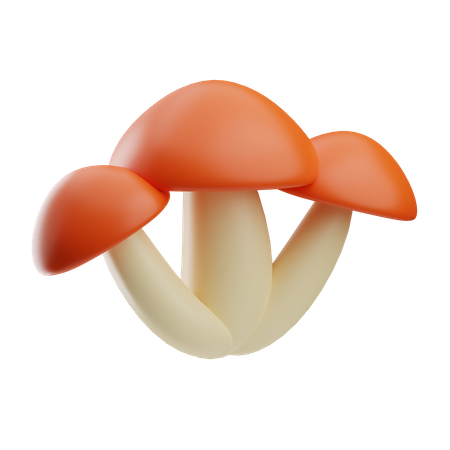 Cogumelo  3D Icon