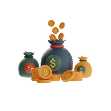 Coin Bags  3D Icon