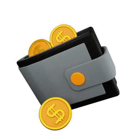 Coin Wallet  3D Icon