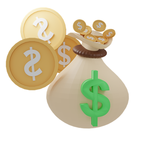 Coins and Money Bag 3D Icon
