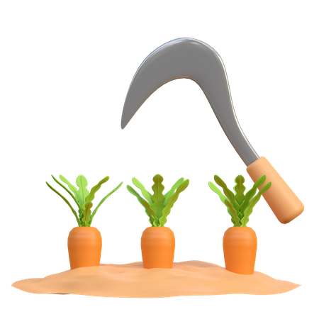 Colheita de cenoura  3D Icon