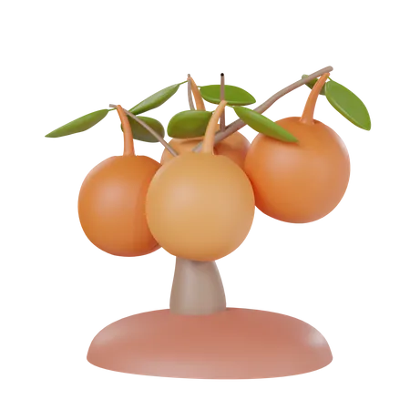 Colheita de vegetais  3D Icon