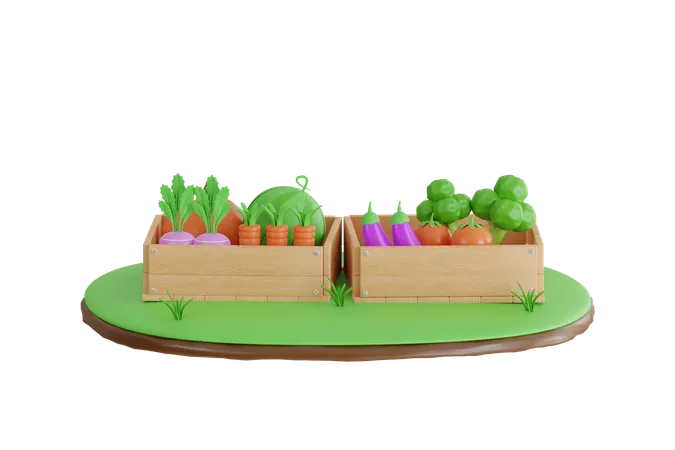Colheita De Legumes Na Caixa Legumes Frescos E Saudaveis Em Uma Caixa De Madeira Ilustracao 3 D 3D Illustration