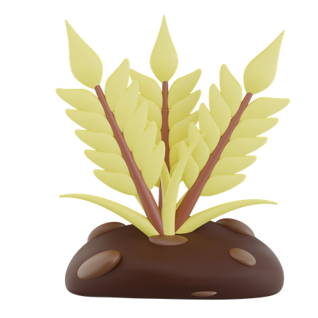 Plantações  3D Icon