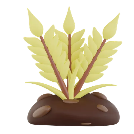 Plantações  3D Icon