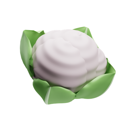 Coliflor  3D Illustration