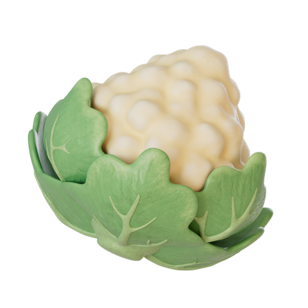 Coliflor  3D Illustration