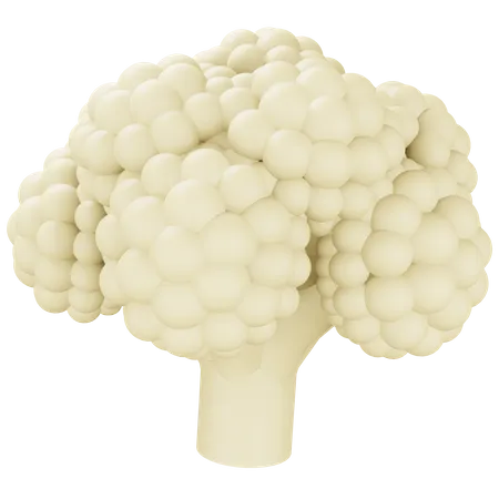 Coliflor  3D Icon