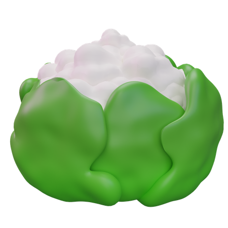 Coliflor  3D Icon