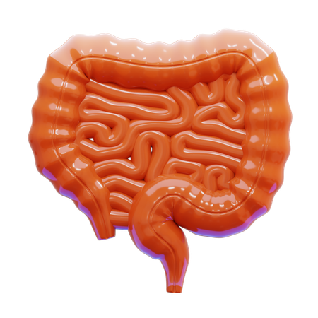 Colon  3D Icon