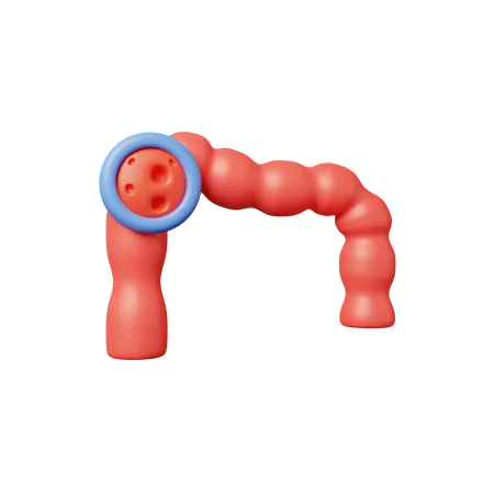 Colon Cancer  3D Icon