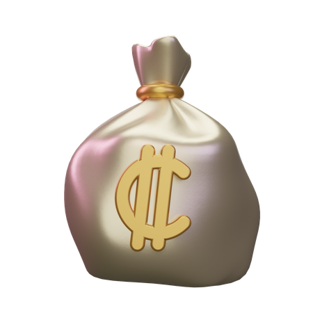 Colon Money Sack  3D Icon