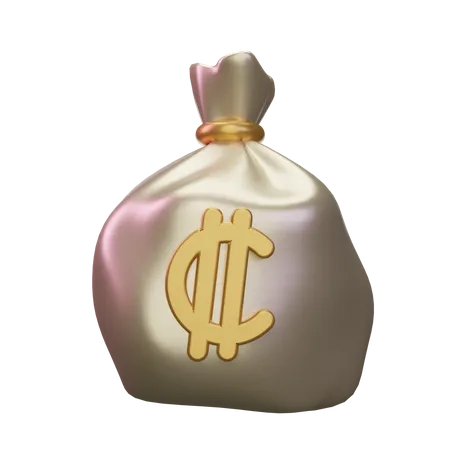 Colon Money Sack  3D Icon