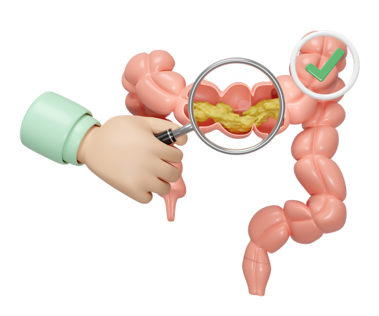 Colon Research  3D Icon