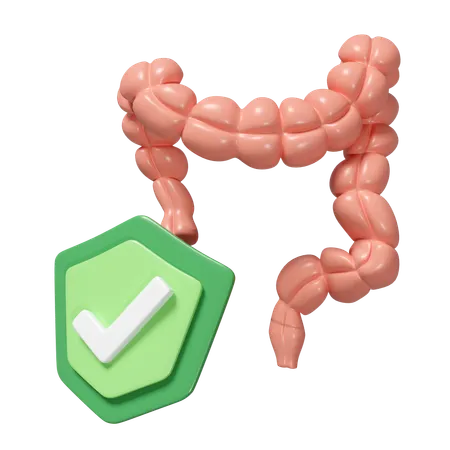 Colon Shield  3D Icon