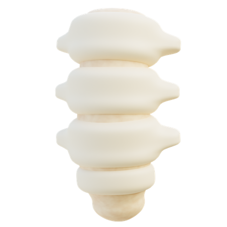 Colonna vertebrale  3D Icon