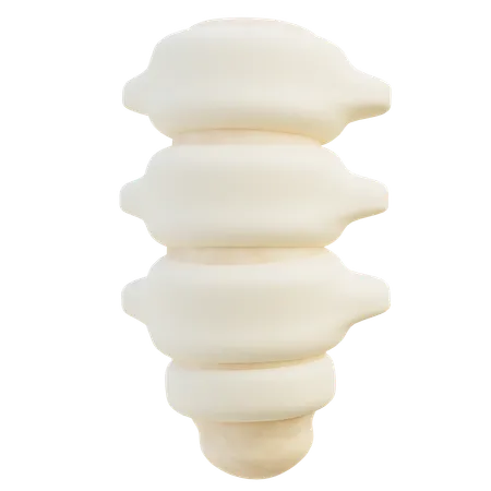 Colonna vertebrale  3D Icon